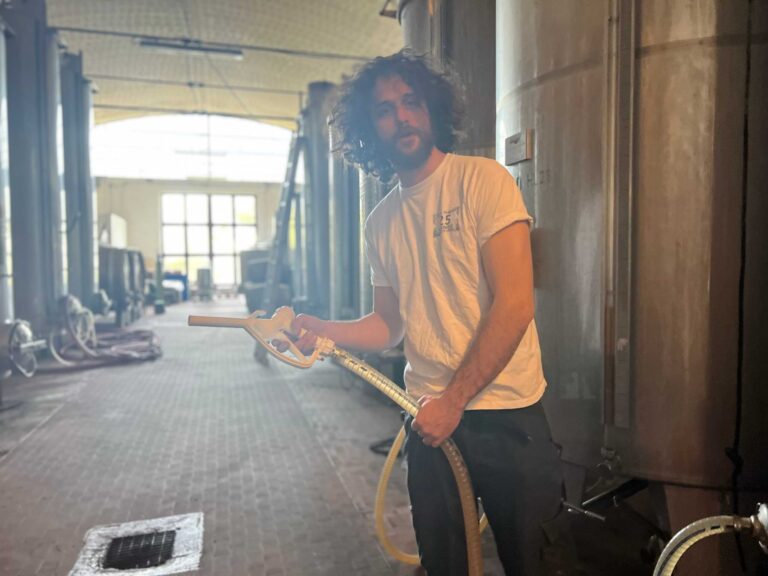 Tenuta Franzona Alessandro in cantina